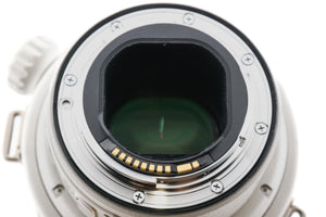 Canon 300mm f2.8 L IS USM II