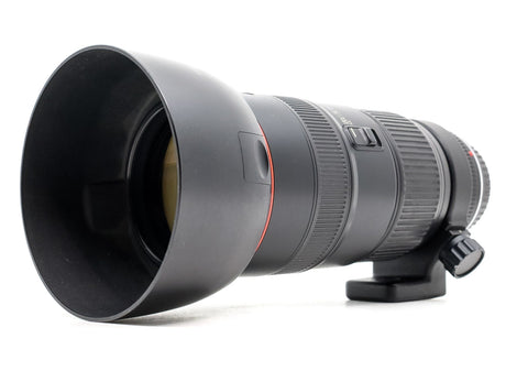 Canon EF 80-200mm f/2.8 L