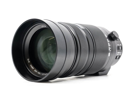 Panasonic Leica DG Vario-Elmar 100-400 mm f/4-6,3 ASPH. Power OIS 