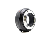 Vue 4